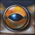 Augenblick eines grauen Laubfrosches; Acryl auf Leinwand;
30 x 30 cm